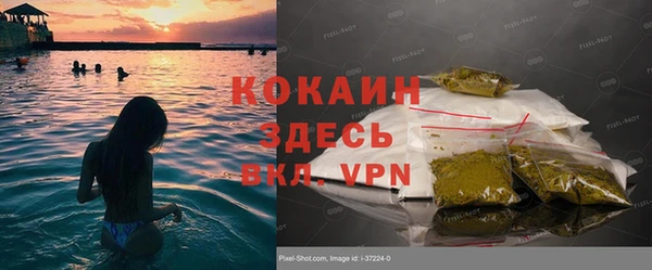 apvp Белокуриха