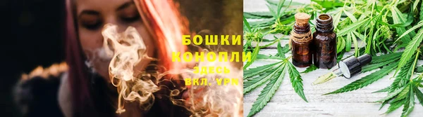 apvp Белокуриха