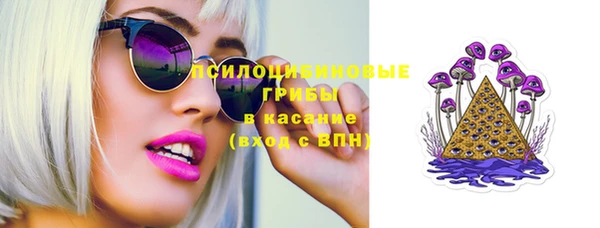 apvp Белокуриха