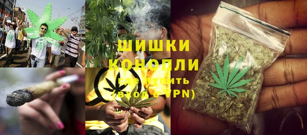 гидропоника Белоозёрский