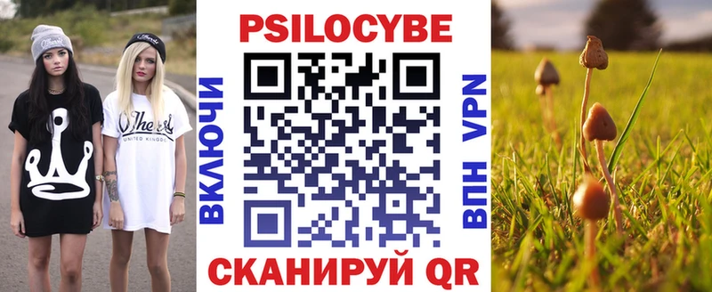 Галлюциногенные грибы мухоморы  hydra ссылка  Губкинский 